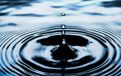 Ripple Effects of War and Peace